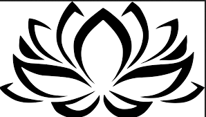 Black Lotus Flower Meaning And Symbolism