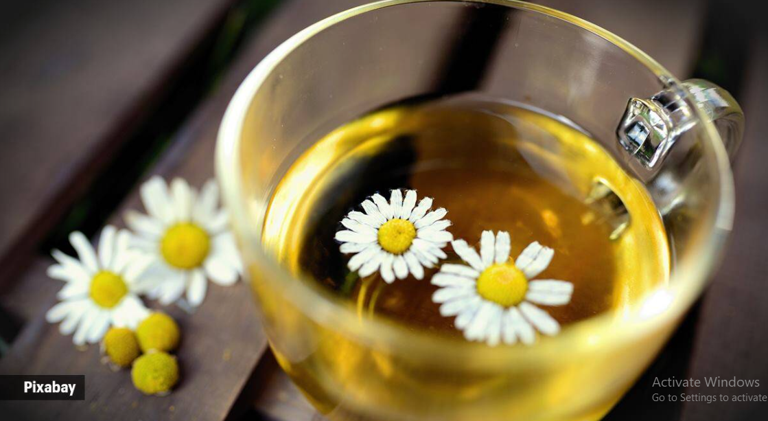 Chamomile Flower Meaning And Symbolism