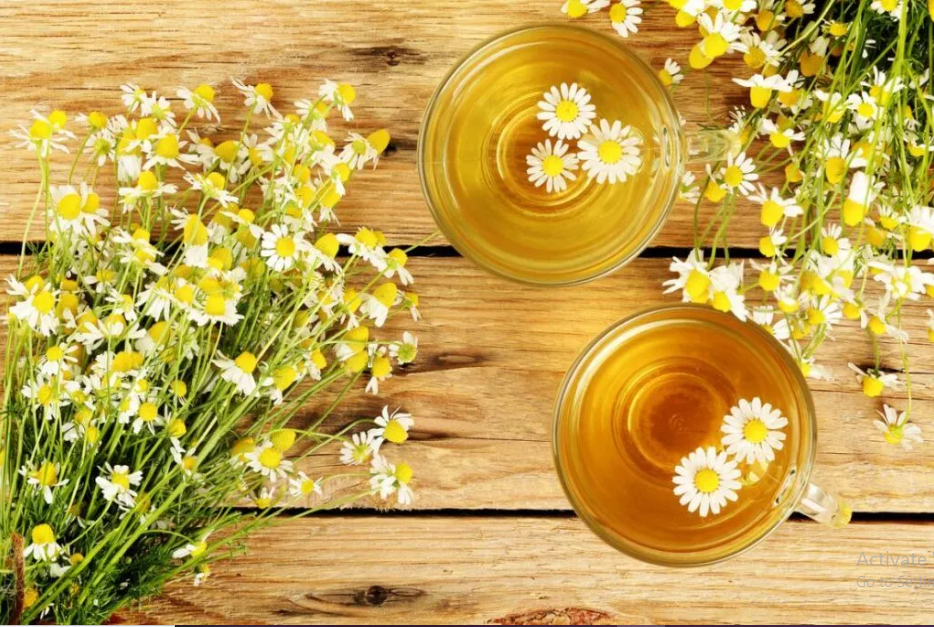 Chamomile Flower Meaning And Symbolism